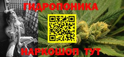 ГАЛЛЮЦИНОГЕННЫЕ ГРИБЫ Кингисепп
