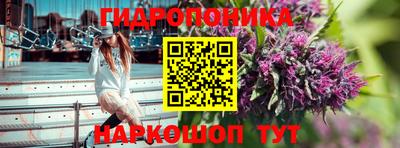 ГАЛЛЮЦИНОГЕННЫЕ ГРИБЫ Кингисепп