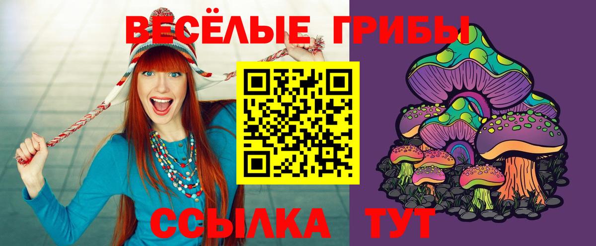 Псилоцибиновые грибы GOLDEN TEACHER  Вход с VPN  Майский 